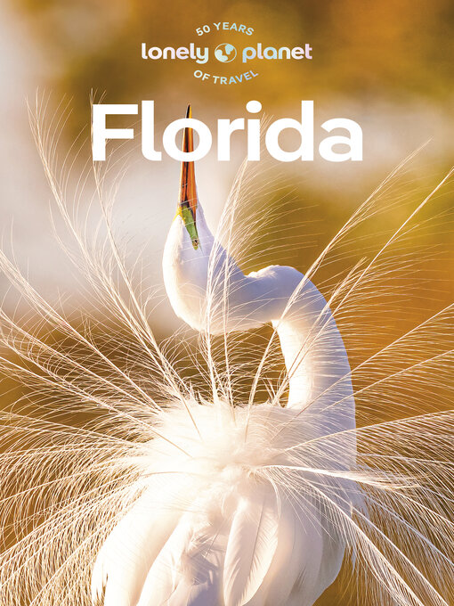 Title details for Travel Guide Florida by Regis St Louis - Available